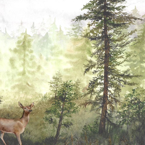 Scrapbook Customs | Deer Ds Watercolor Paper